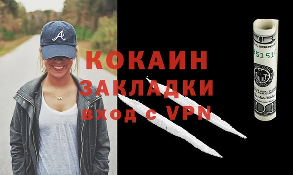 индика Абаза