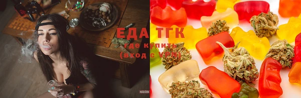 индика Абаза