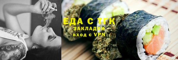 индика Абаза