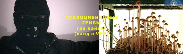 индика Абаза