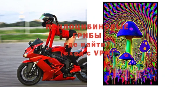 индика Абаза
