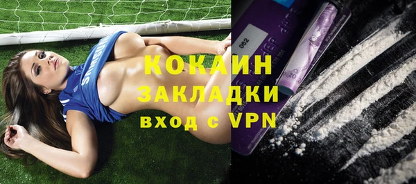 индика Абаза