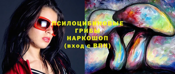 индика Абаза