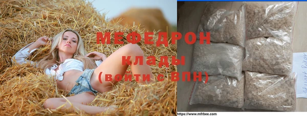 индика Абаза