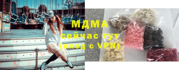 индика Абаза