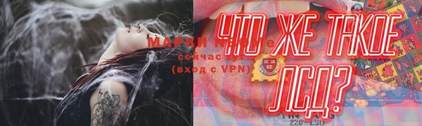 индика Абаза