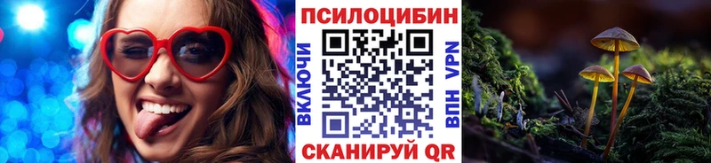 это телеграм  Тутаев  Псилоцибиновые грибы мицелий  где найти наркотики 