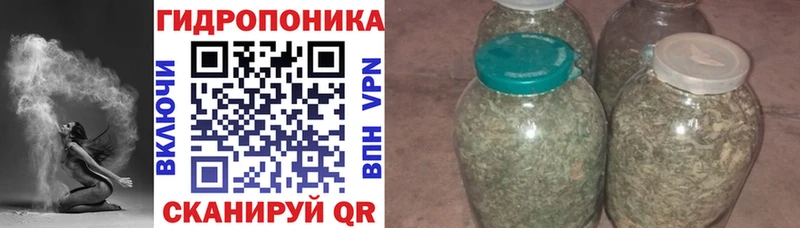 купить   Тутаев  ссылка на мегу как войти  Бошки марихуана план 